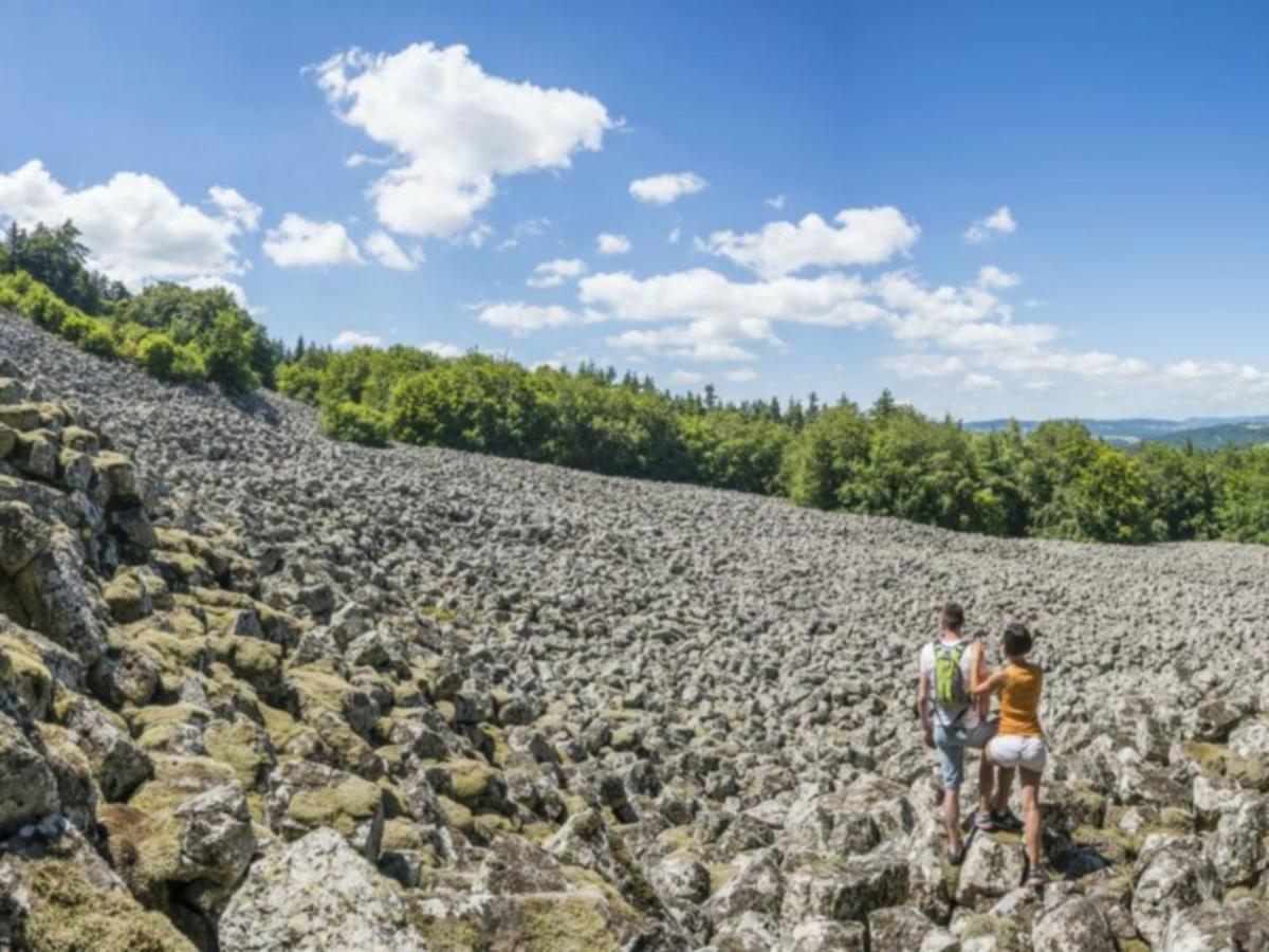Chalé L'oree Du Pichier Boisset (Haute-Loire)