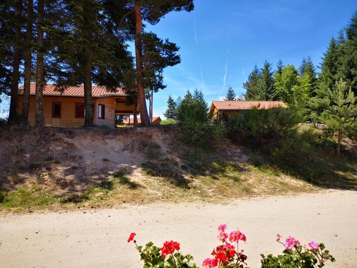 L'orée Du Pichier Boisset (Haute-Loire)